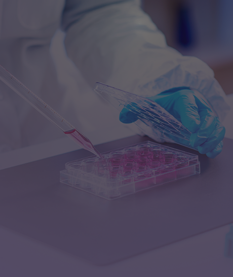 The Perimenopause Lab Guide Nobody Gave You